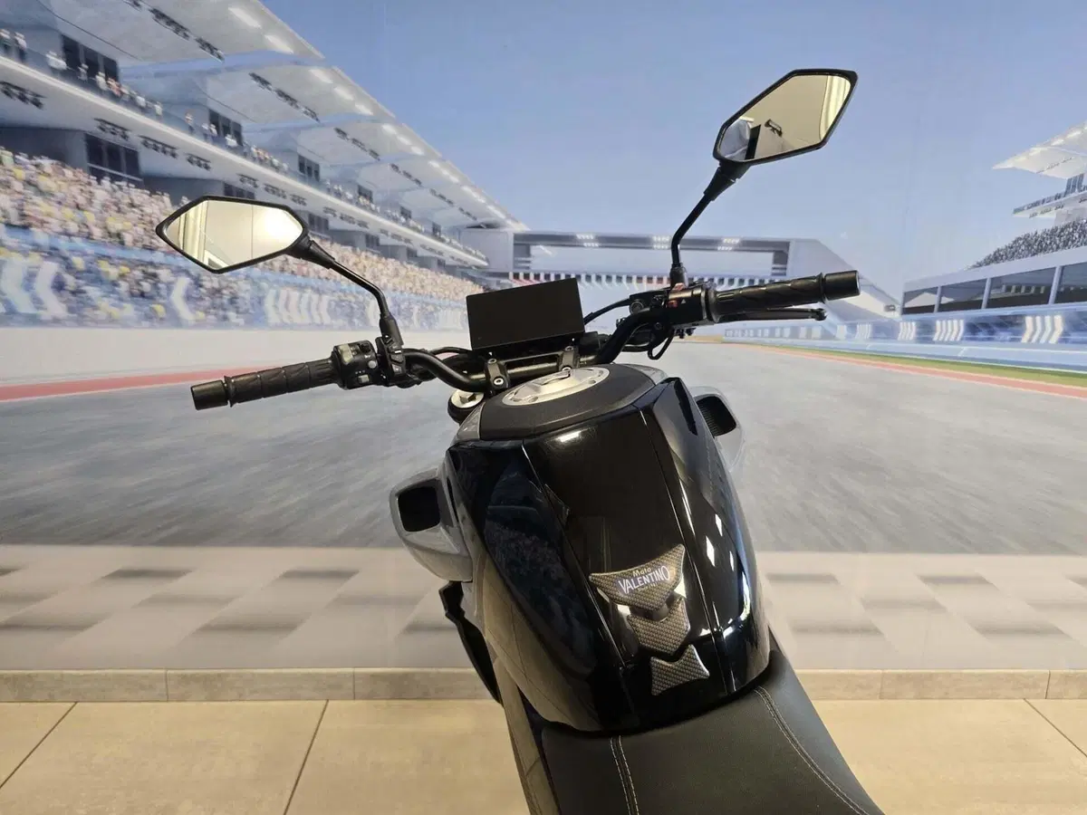 CFMOTO 300NK (2021 - 26) (20)