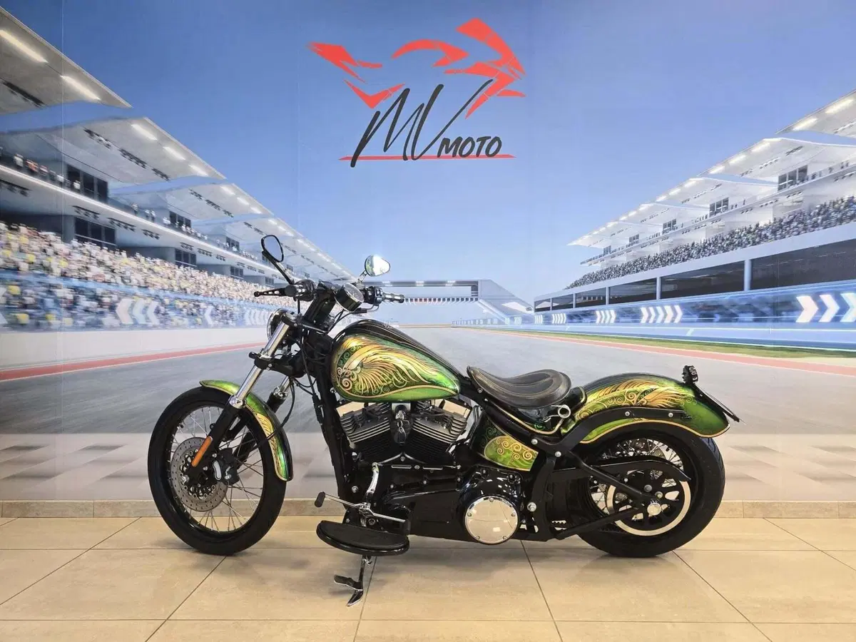 Harley-Davidson 1584 Blackline (2011 - 13) - FXS (5)