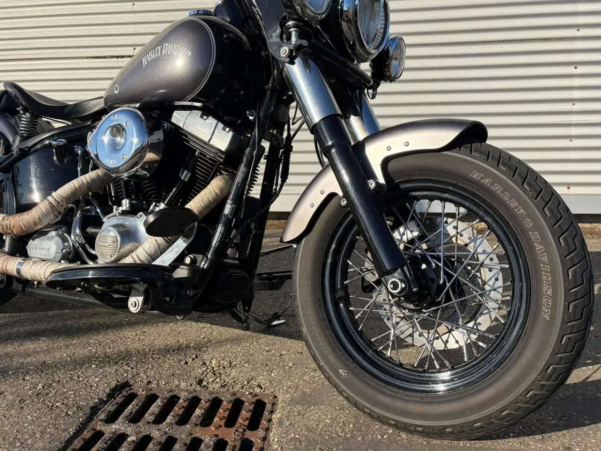Harley-Davidson 1690 Slim (2011 - 16) - FLS (3)