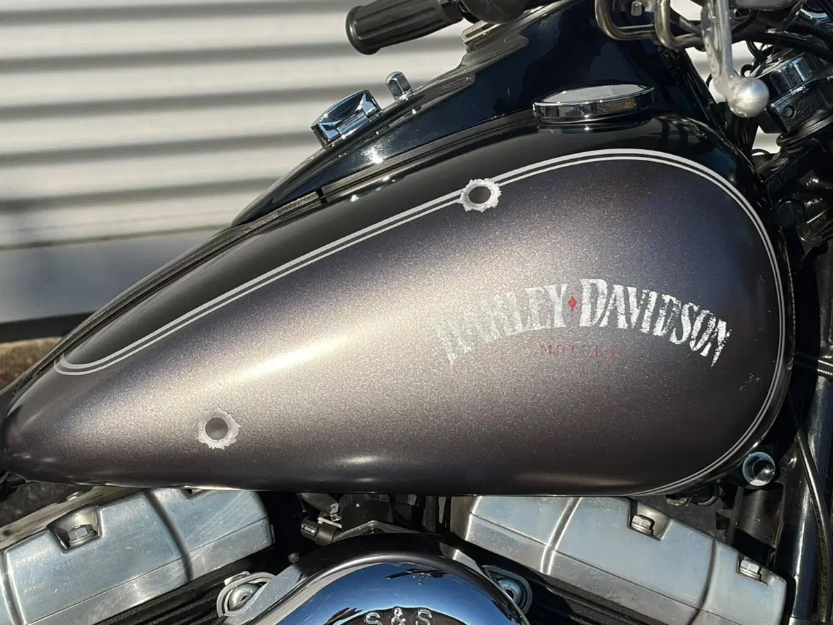 Harley-Davidson 1690 Slim (2011 - 16) - FLS (4)