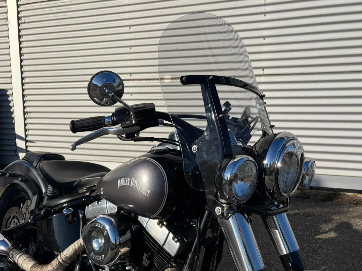 Harley-Davidson 1690 Slim (2011 - 16) - FLS (5)
