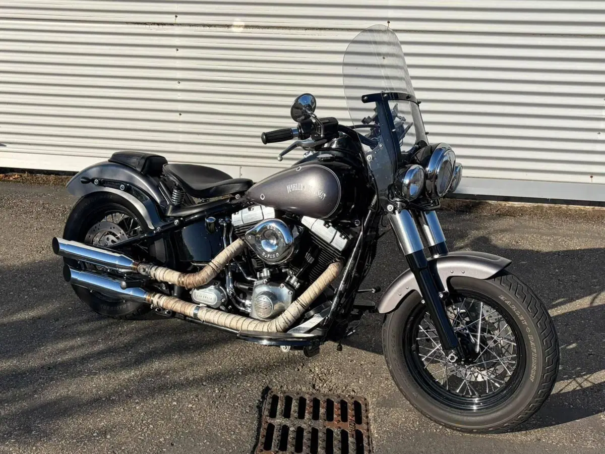 Harley-Davidson 1690 Slim (2011 - 16) - FLS (15)