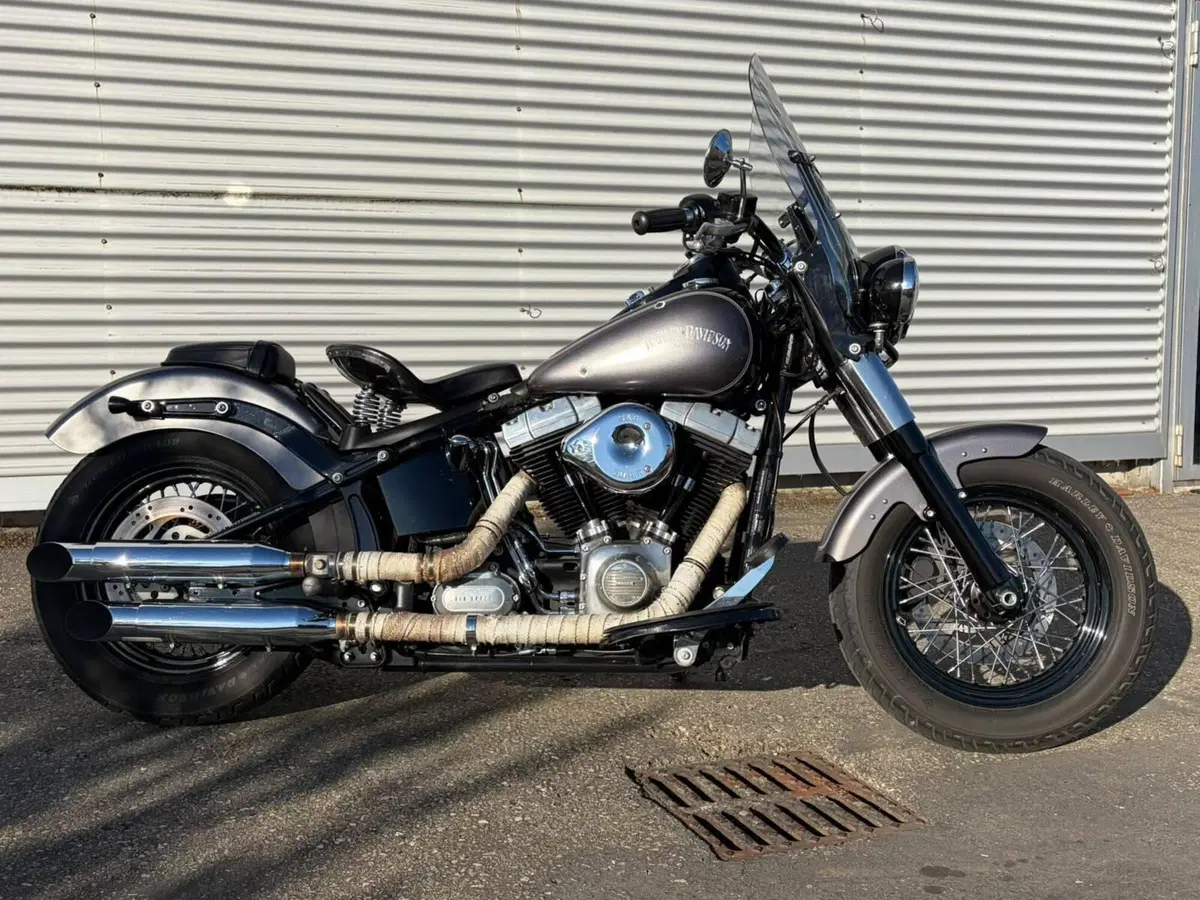 Harley-Davidson 1690 Slim (2011 - 16) - FLS (14)