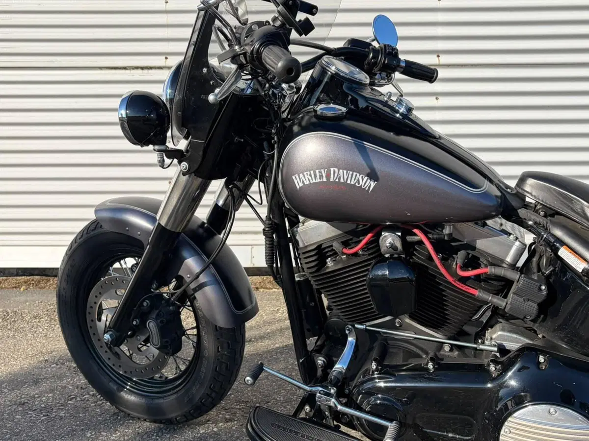 Harley-Davidson 1690 Slim (2011 - 16) - FLS (8)