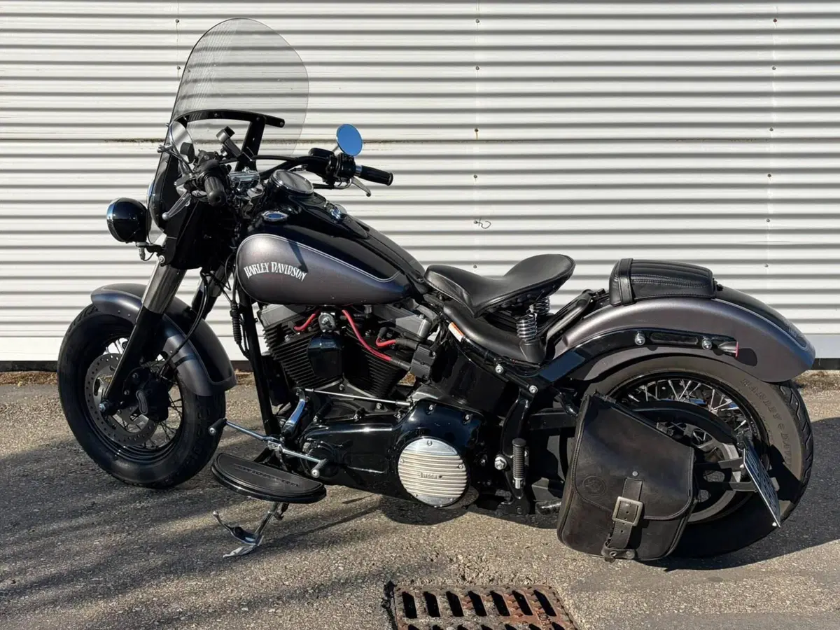 Harley-Davidson 1690 Slim (2011 - 16) - FLS (2)