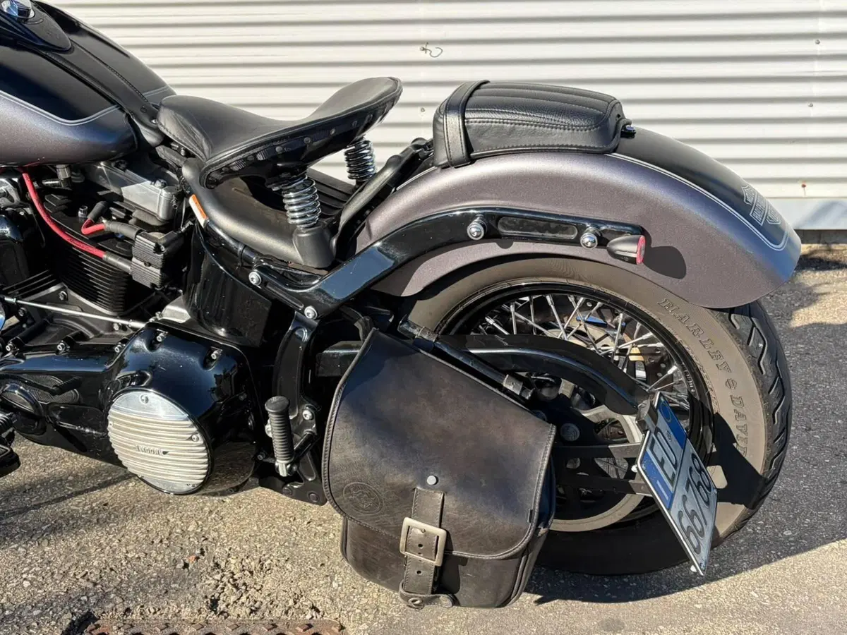 Harley-Davidson 1690 Slim (2011 - 16) - FLS (10)