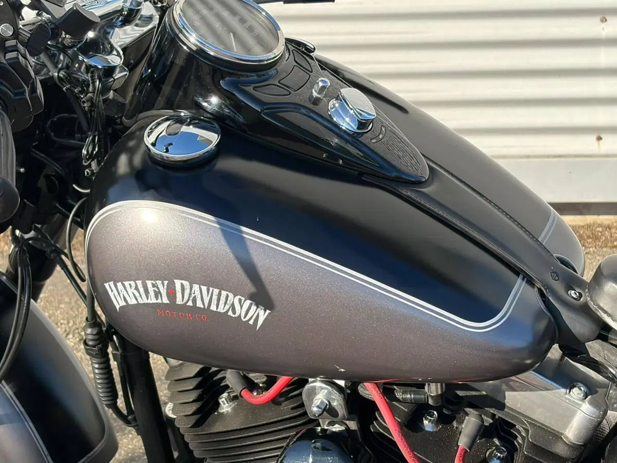Harley-Davidson 1690 Slim (2011 - 16) - FLS (11)