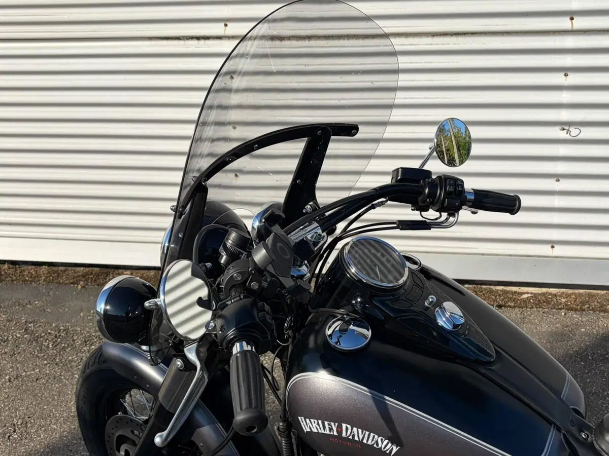 Harley-Davidson 1690 Slim (2011 - 16) - FLS (13)
