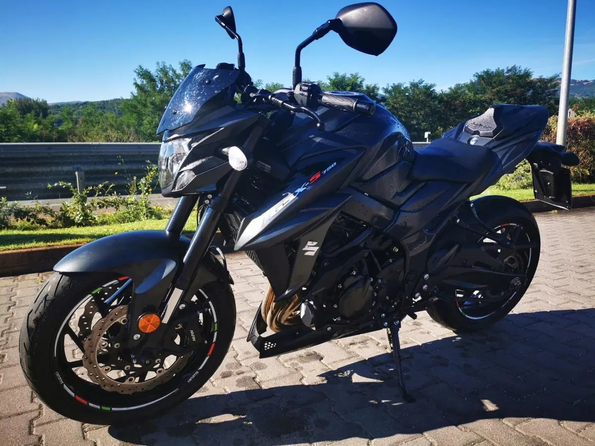 Suzuki GSX S 750 Z ABS (2017 - 20) (2)