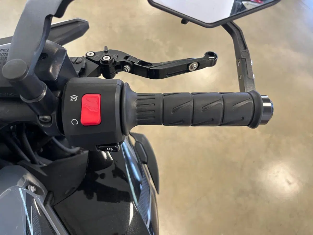 Kawasaki Z 650 (2021 - 24) (11)