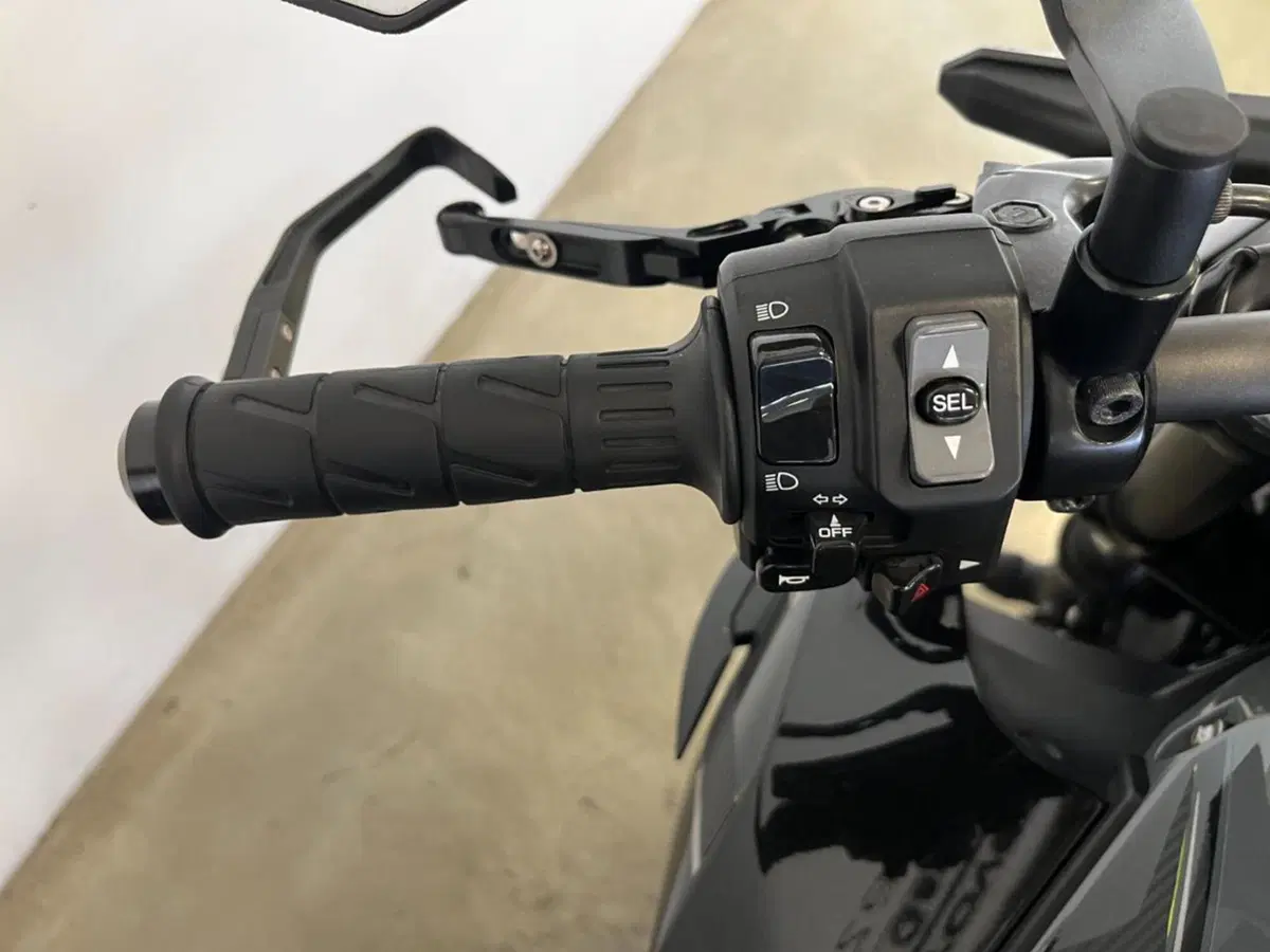Kawasaki Z 650 (2021 - 24) (12)