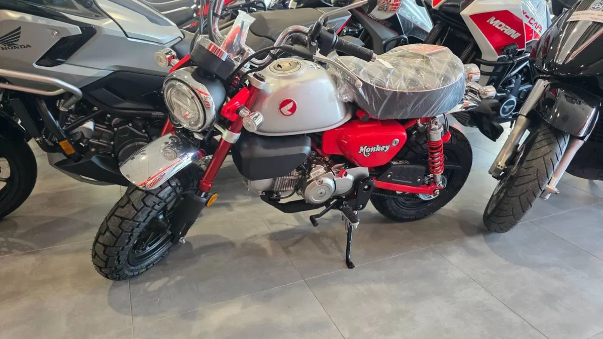 Honda Monkey 125 (2025 - 26)