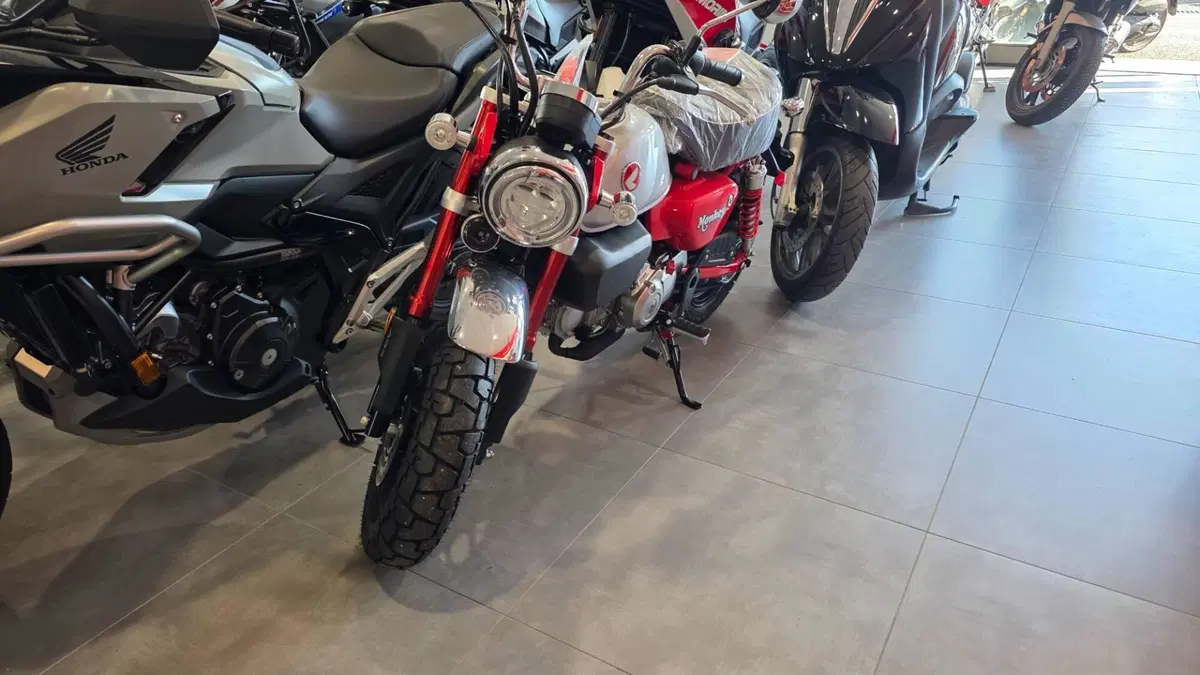 Honda Monkey 125 (2025 - 26) (3)