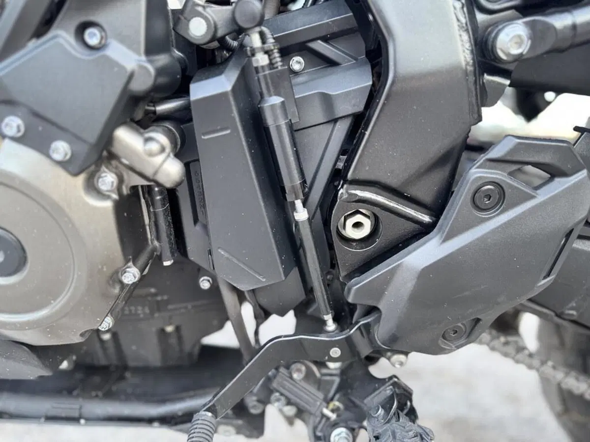 Suzuki V-Strom 800DE (2023 - 24) (7)
