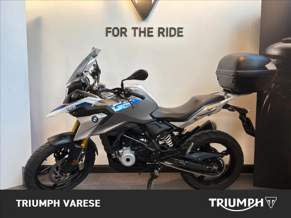 Bmw G 310 GS (2017 - 20) (2)