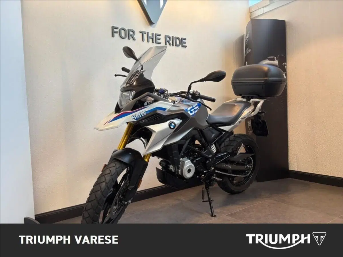 Bmw G 310 GS (2017 - 20) (3)