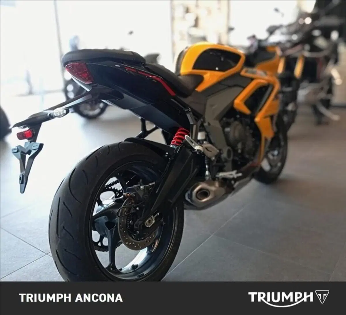 Triumph Daytona 660 (2024 - 26) (4)