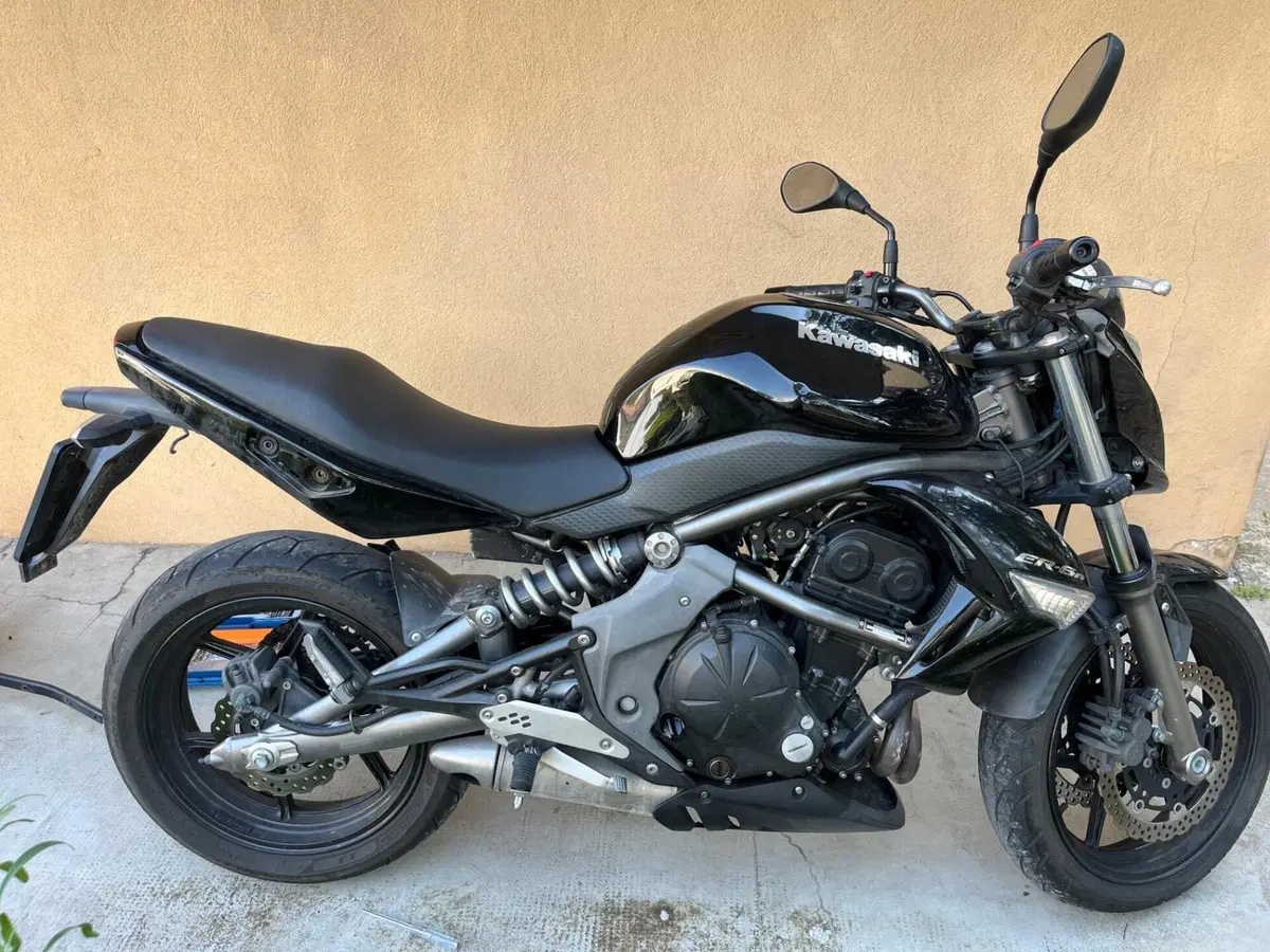 Kawasaki ER-6N (2009 - 11) (2)