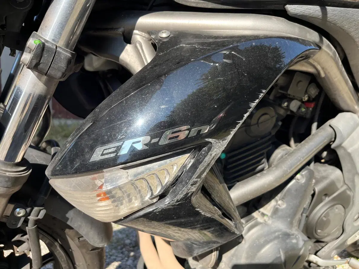 Kawasaki ER-6N (2009 - 11) (6)