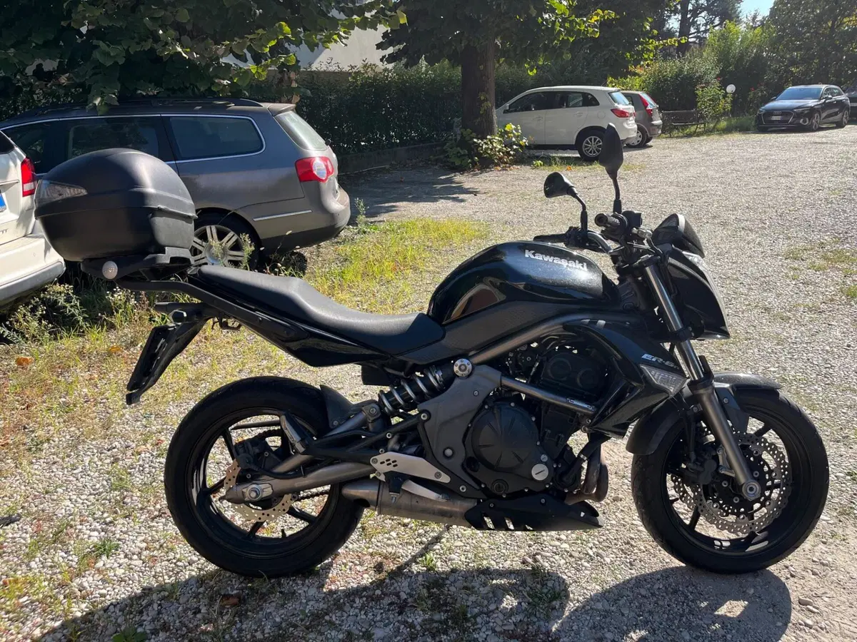 Kawasaki ER-6N (2009 - 11) (7)