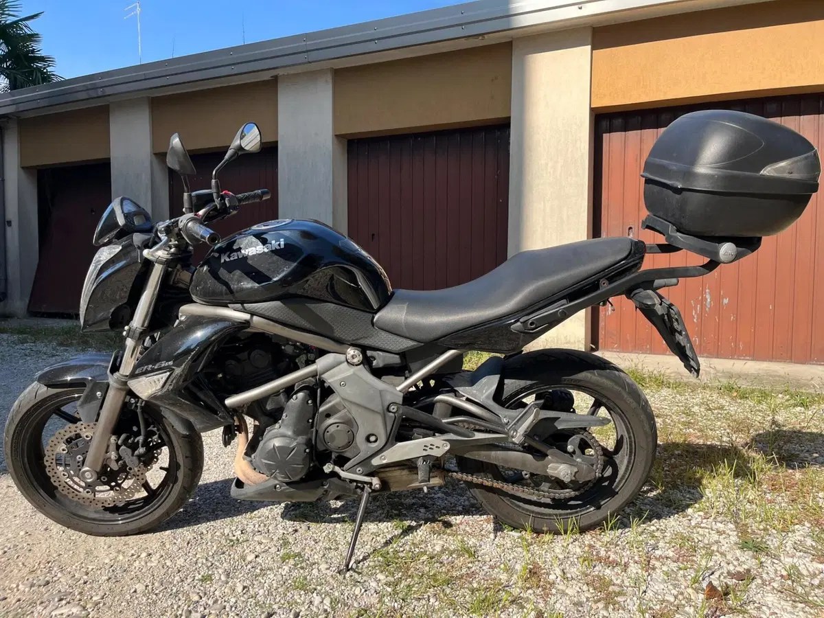 Kawasaki ER-6N (2009 - 11) (8)
