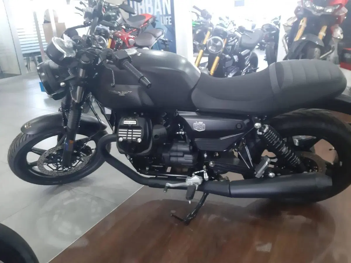 Moto Guzzi V7 Stone (2025 - 26) (2)