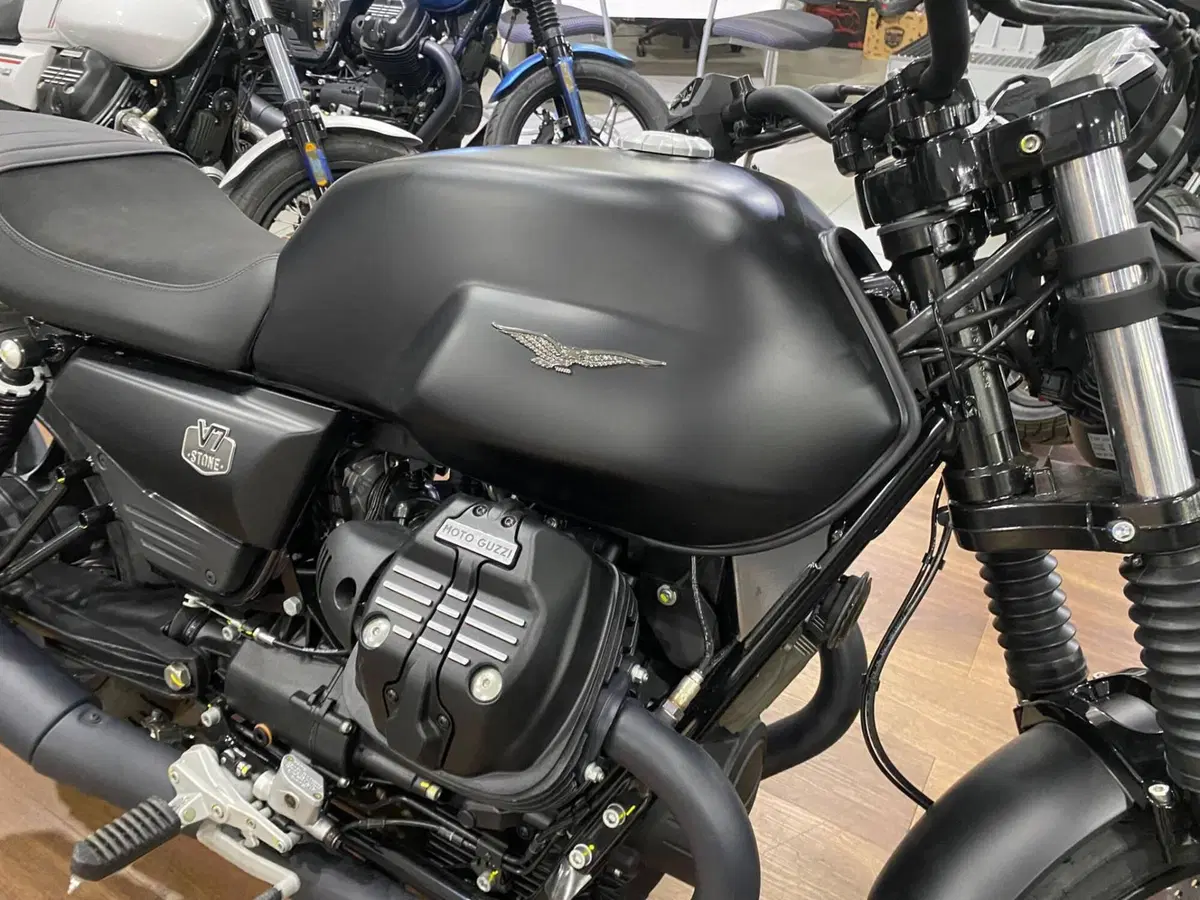 Moto Guzzi V7 Stone (2025 - 26) (5)