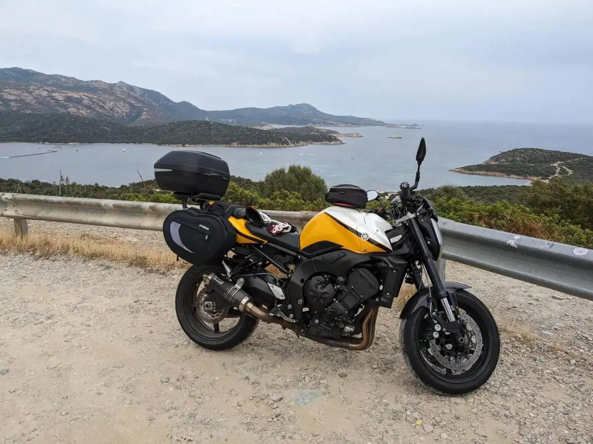 Yamaha FZ1 (2006 - 16) (5)