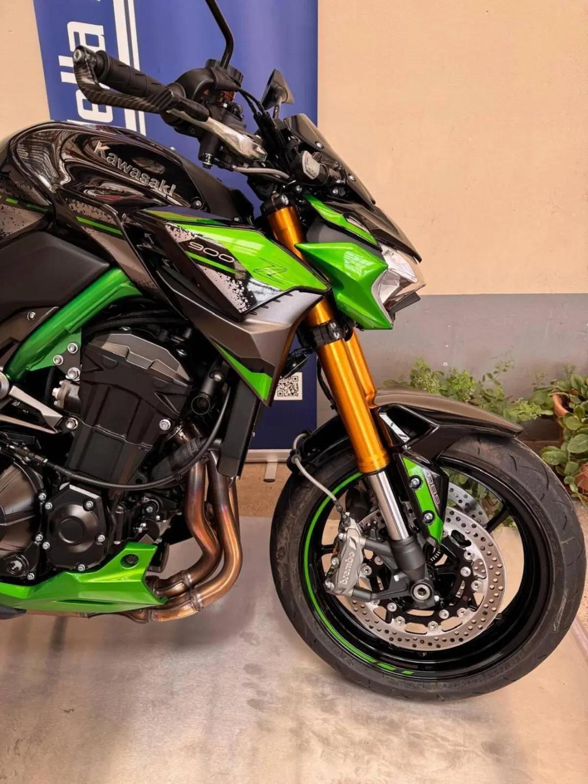 Kawasaki Z 900 SE (2022 - 24) (6)