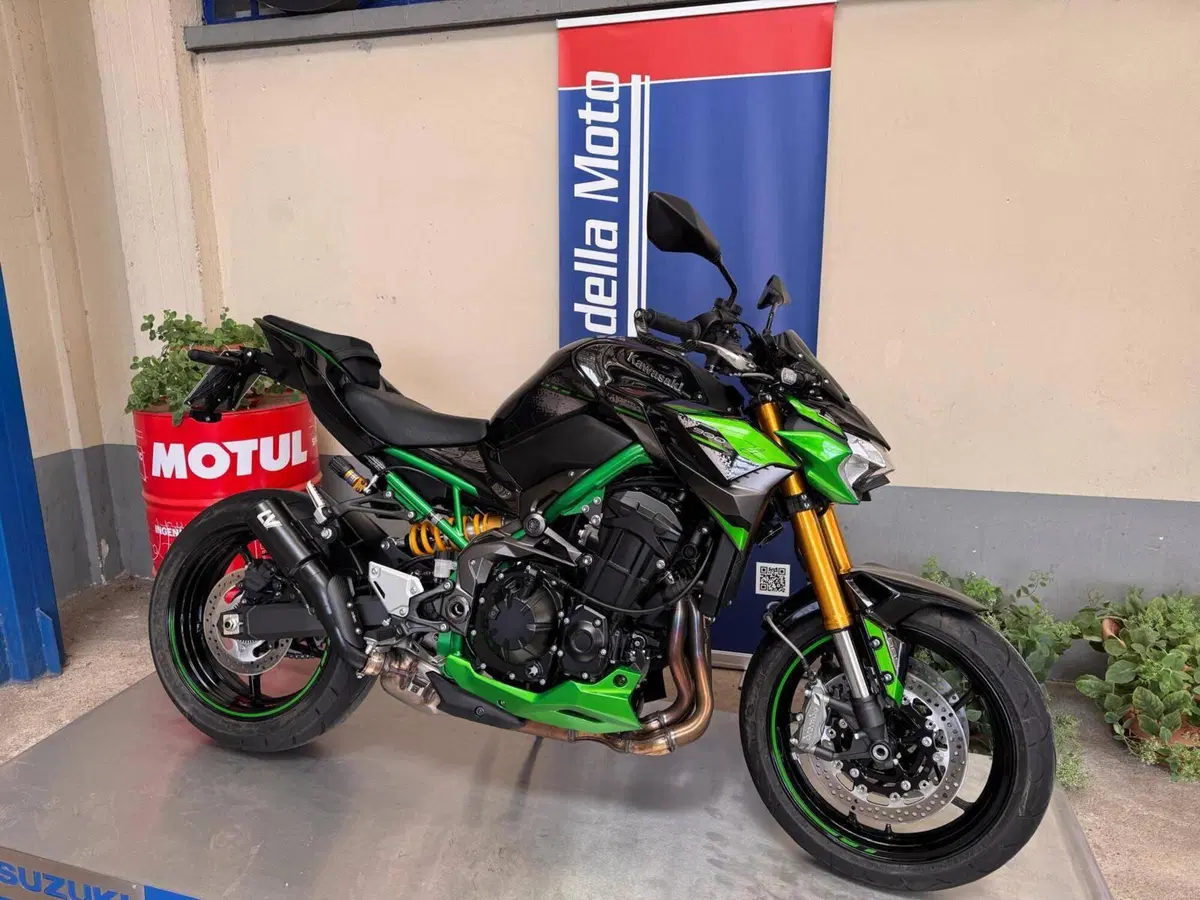 Kawasaki Z 900 SE (2022 - 24)