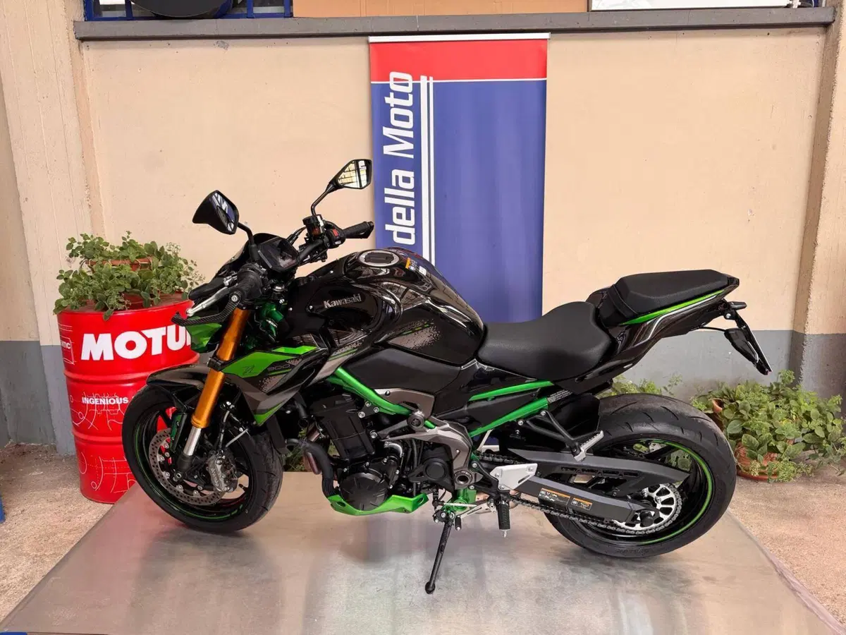 Kawasaki Z 900 SE (2022 - 24) (12)