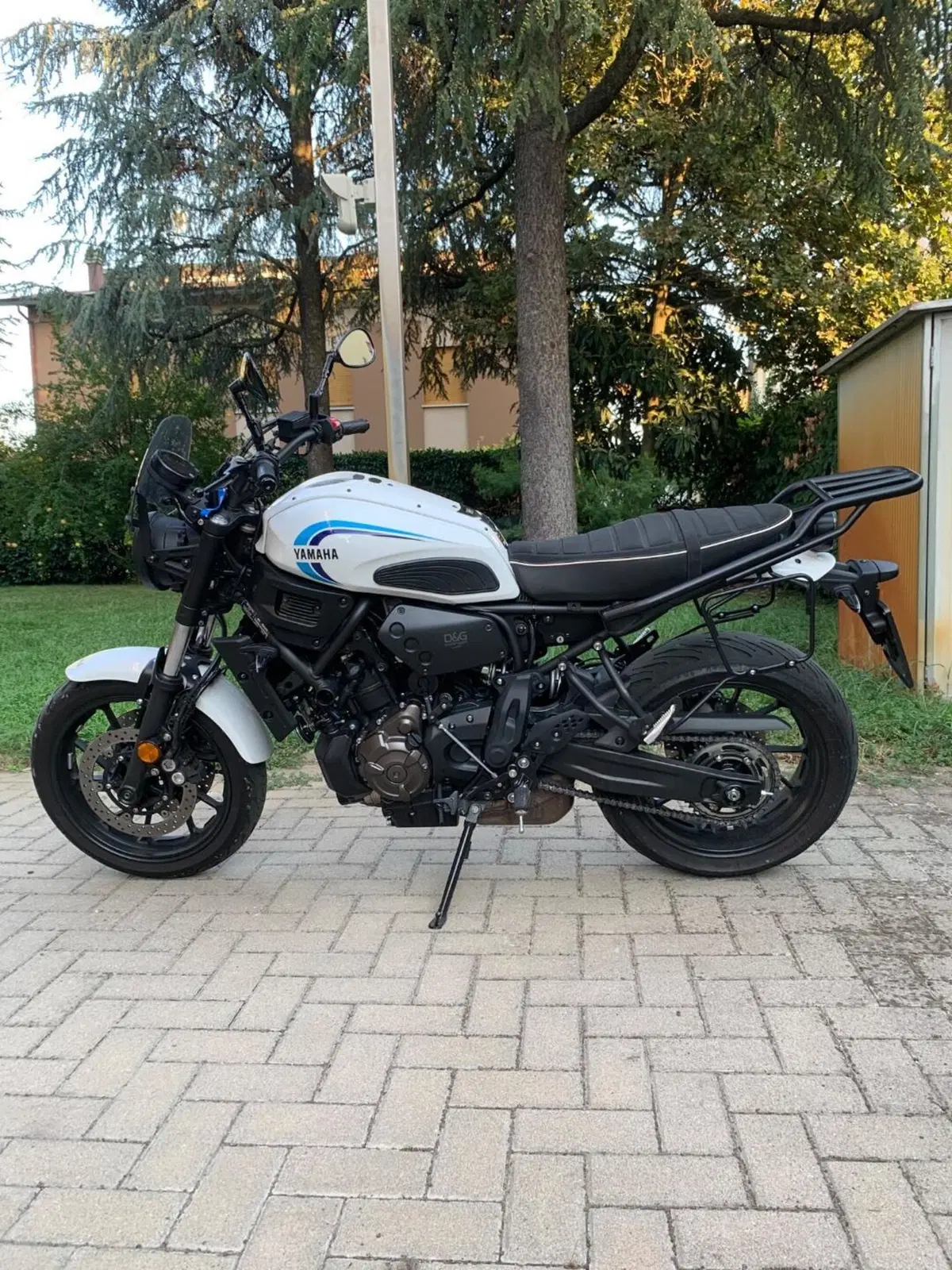 Yamaha XSR 700 (2022 - 26) (2)