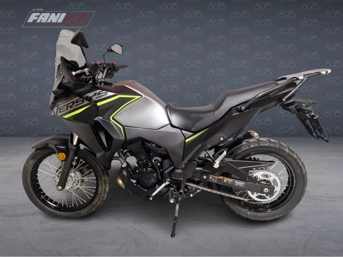 Kawasaki Versys-X 300 (2017 - 20) (3)