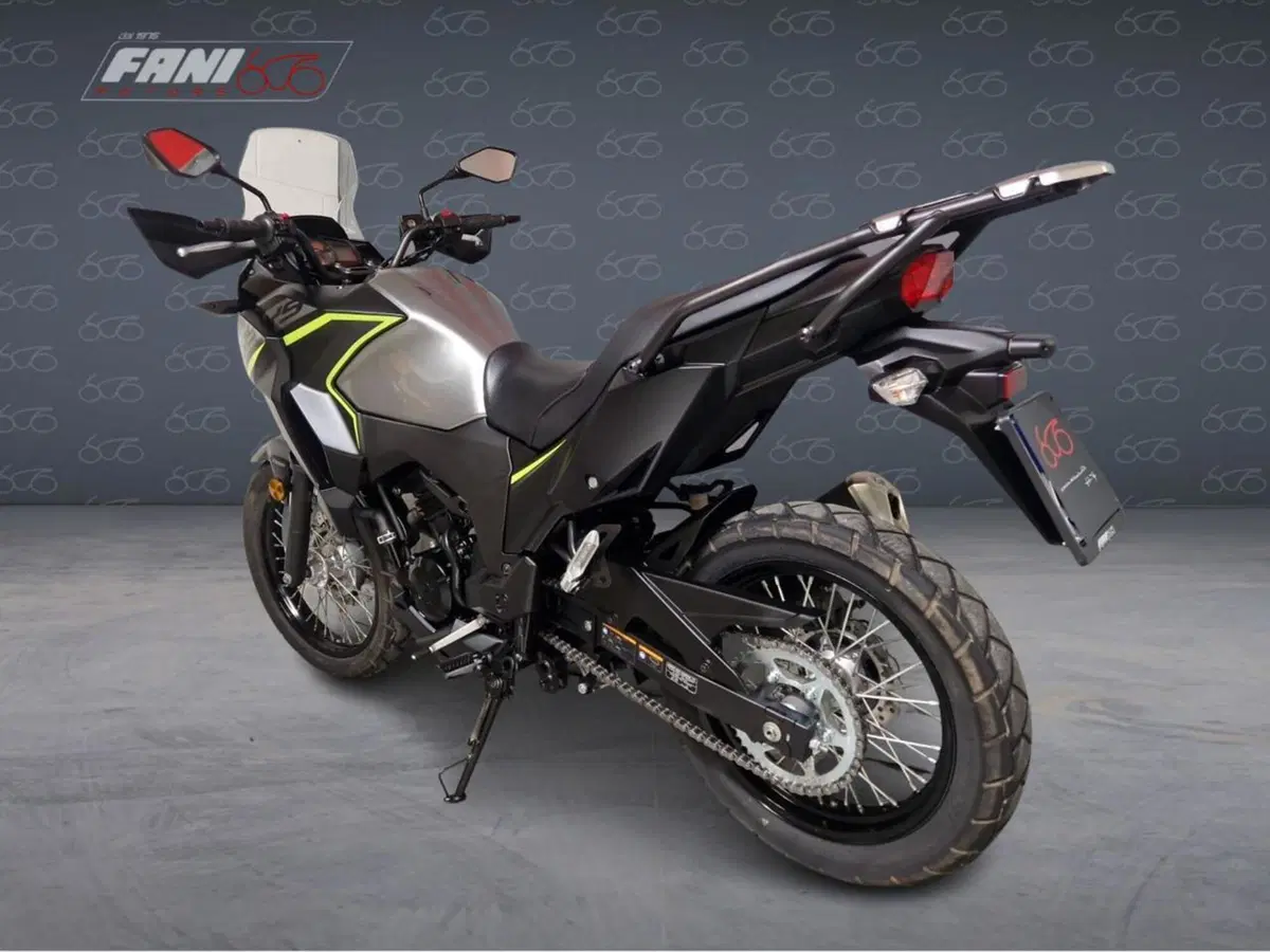 Kawasaki Versys-X 300 (2017 - 20) (4)