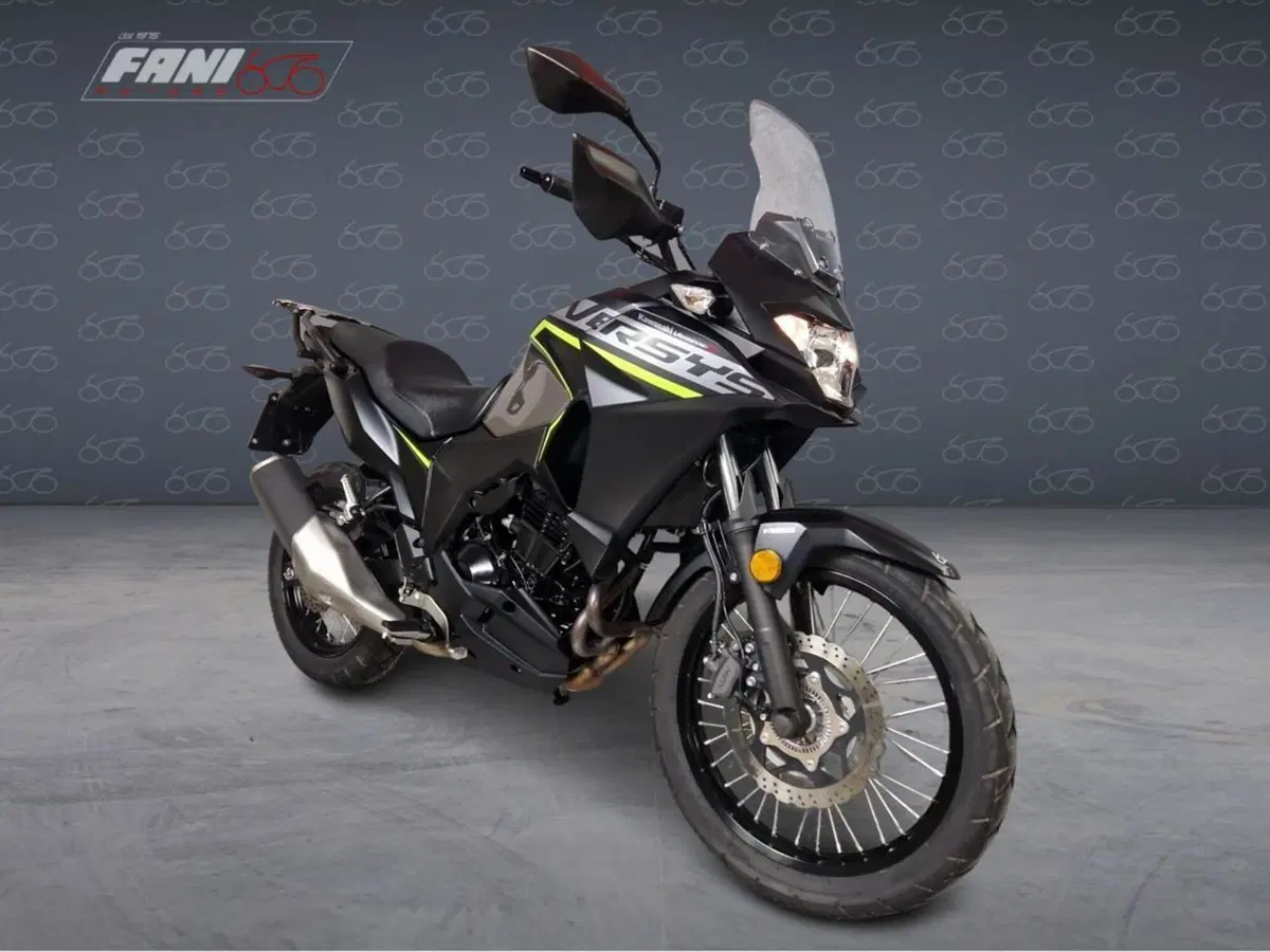 Kawasaki Versys-X 300 (2017 - 20) (2)