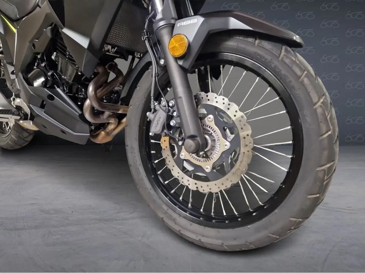 Kawasaki Versys-X 300 (2017 - 20) (6)
