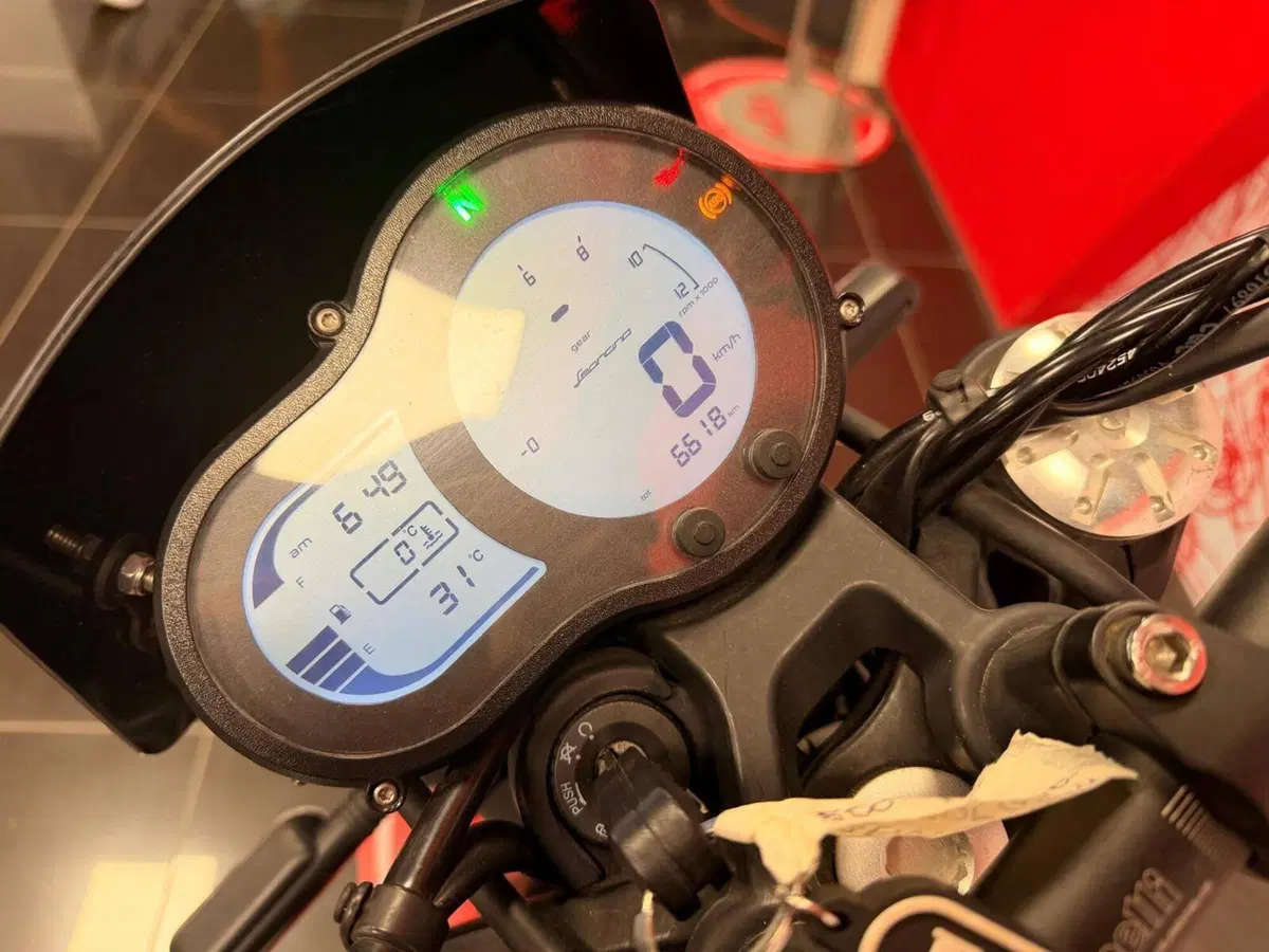 Benelli Leoncino 500 Trail (2021 - 26) (8)