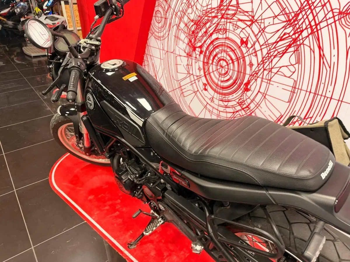 Benelli Leoncino 500 Trail (2021 - 26) (2)