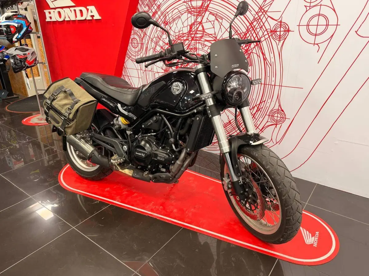 Benelli Leoncino 500 Trail (2021 - 26) (6)