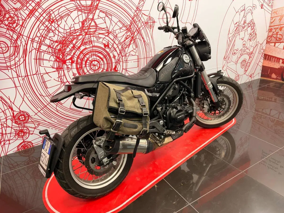 Benelli Leoncino 500 Trail (2021 - 26) (7)