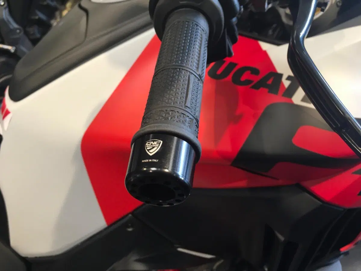Ducati Multistrada V4 RS (2024 - 25) (10)