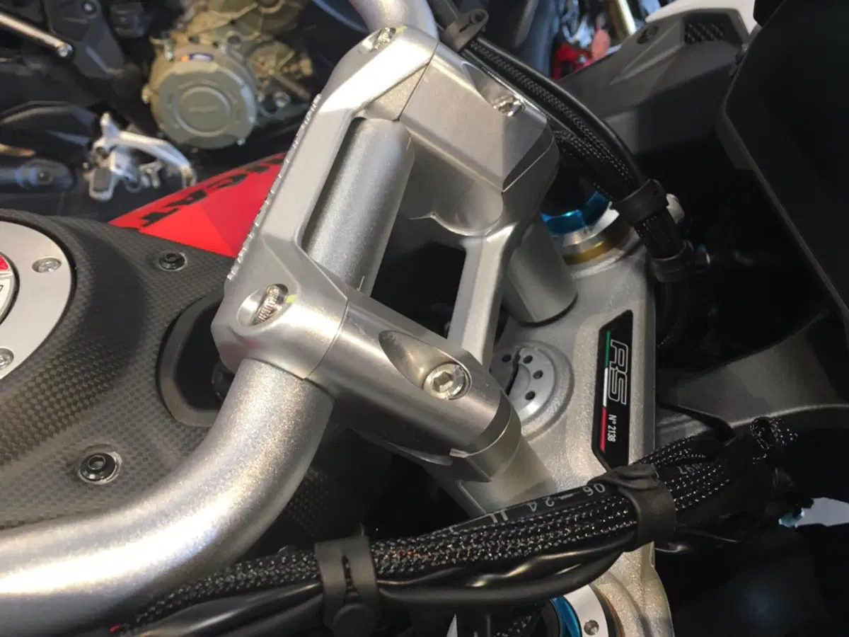 Ducati Multistrada V4 RS (2024 - 25) (11)