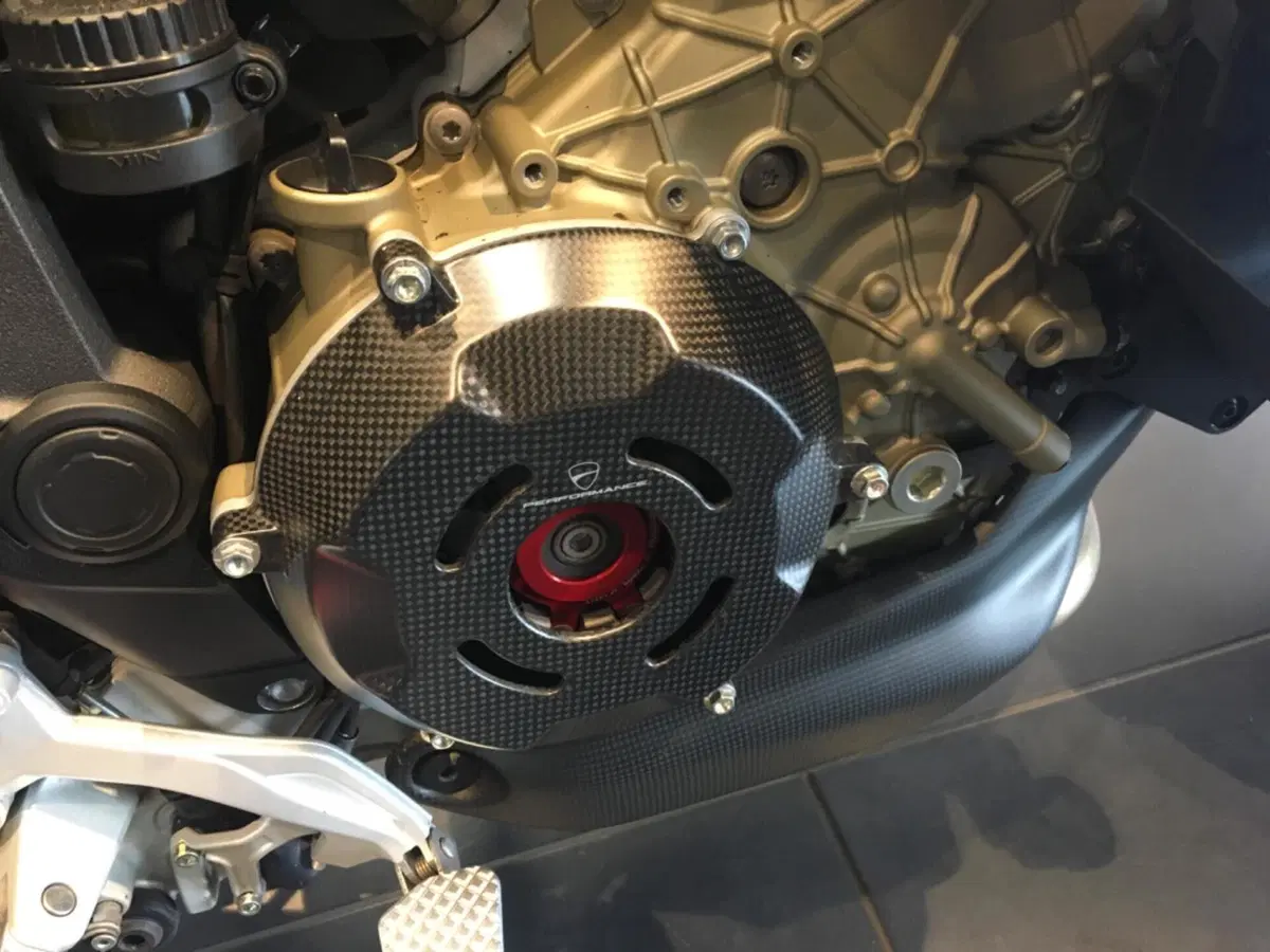 Ducati Multistrada V4 RS (2024 - 25) (17)