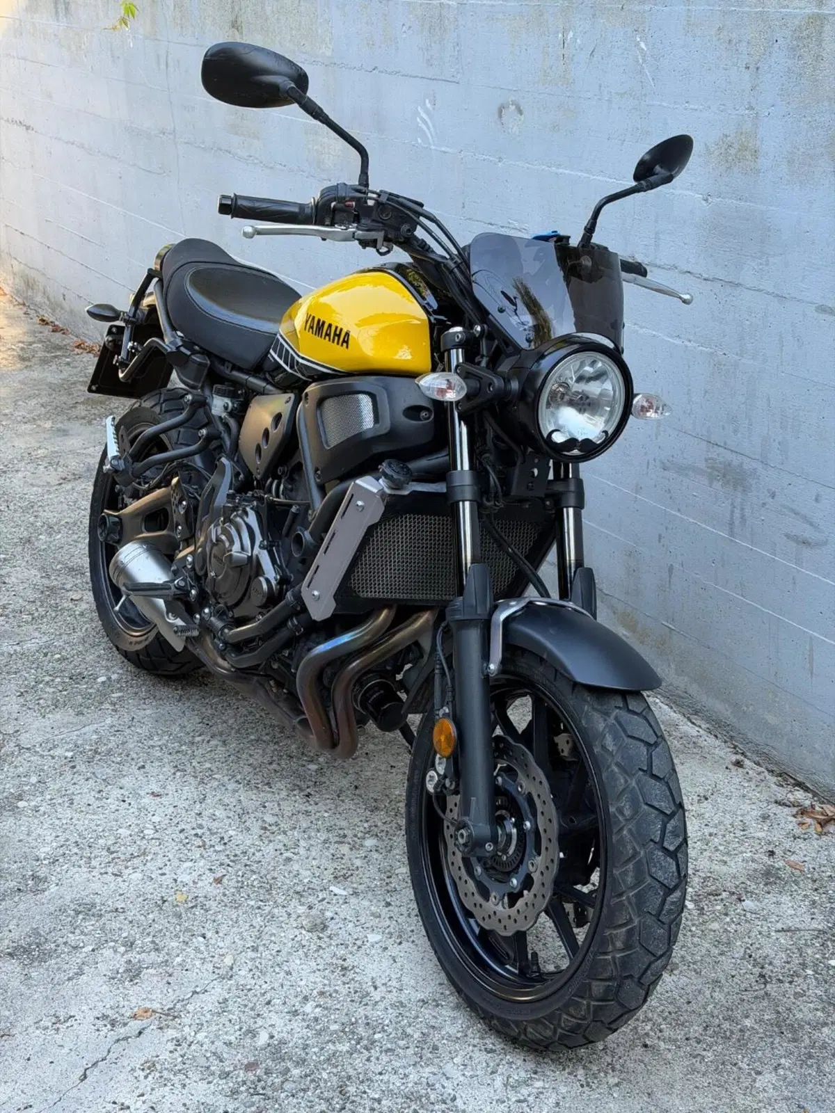 Yamaha XSR 700 ABS 60th Anniversary (2016 - 18) (2)