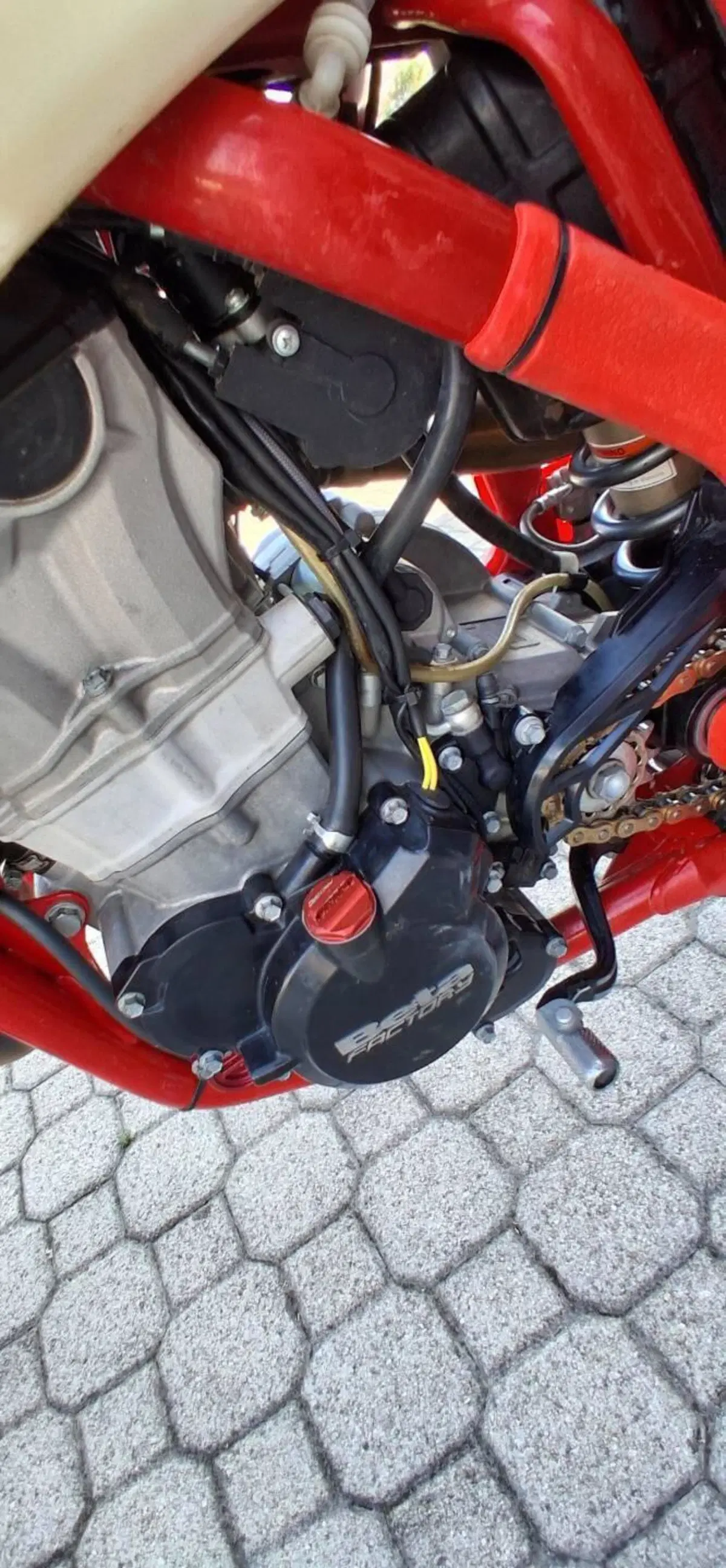 Betamotor RX 450 4T (2024 - 25) (2)