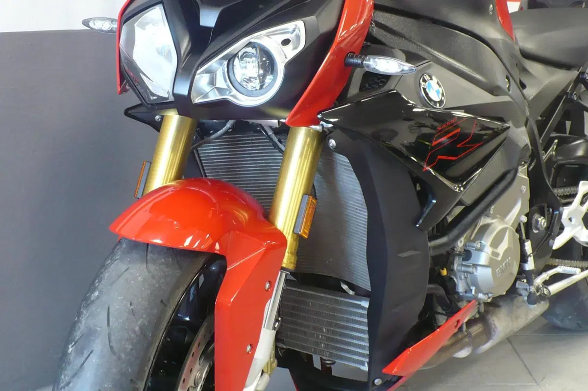 Bmw S 1000 R (2017 - 20) (4)