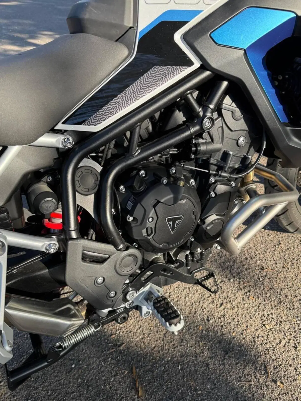 Triumph Tiger 900 Alpine Special Edition (2026) (5)
