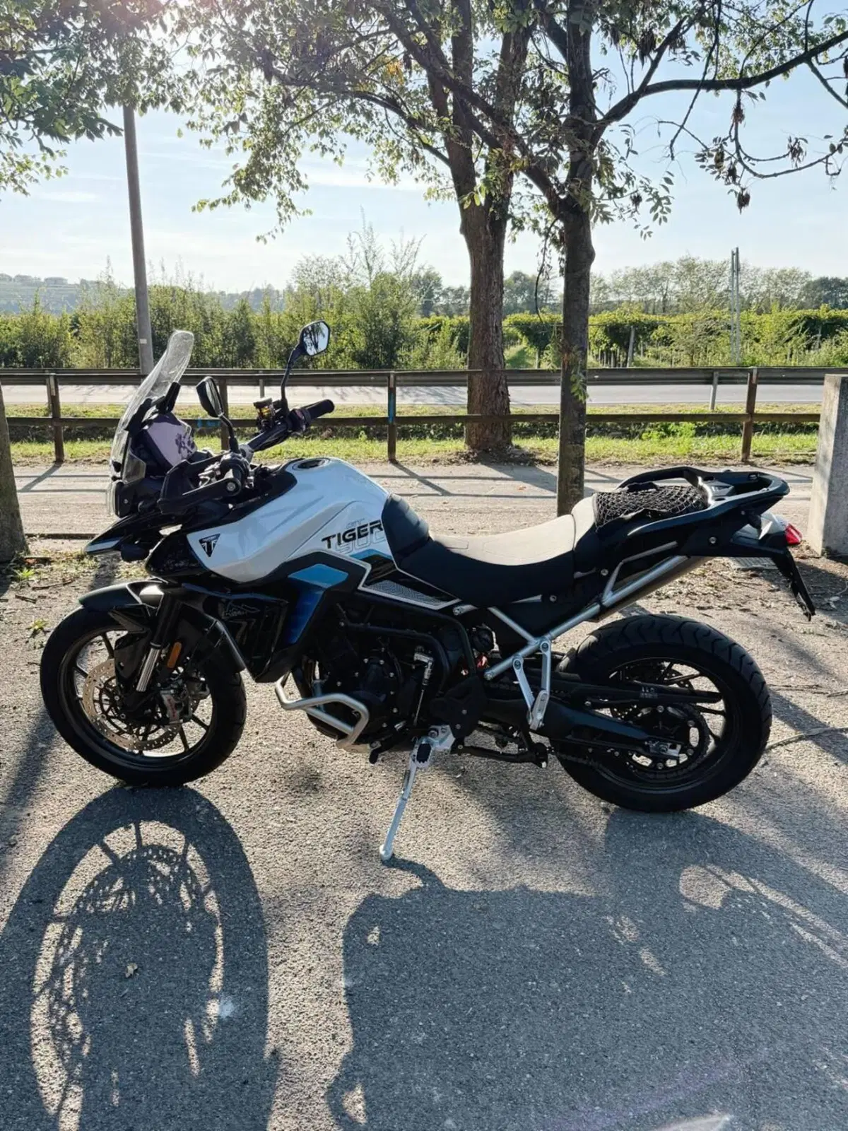Triumph Tiger 900 Alpine Special Edition (2026)