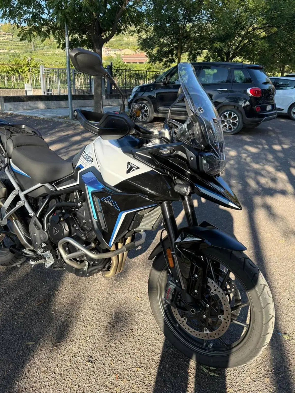 Triumph Tiger 900 Alpine Special Edition (2026) (3)