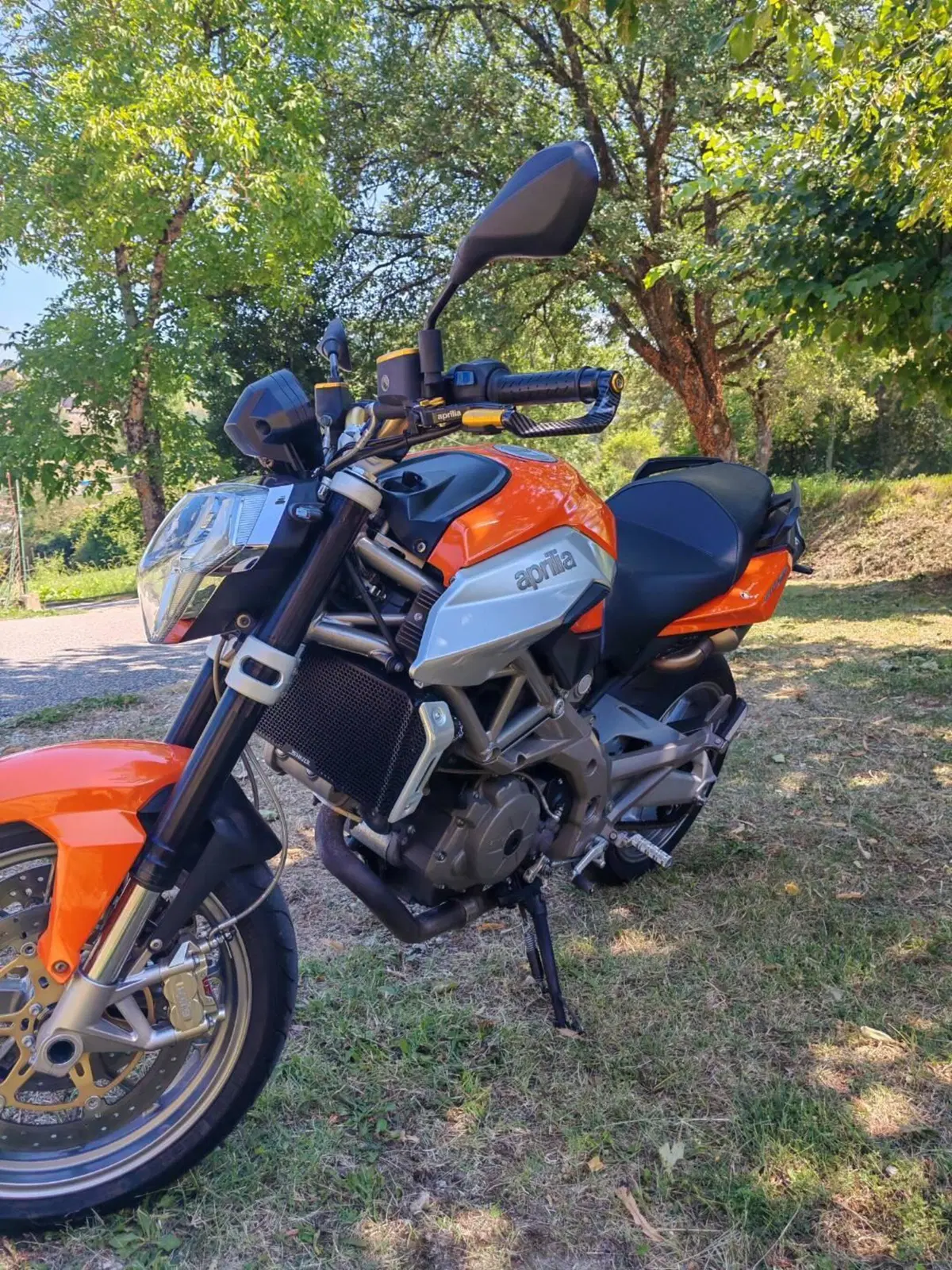 Aprilia Shiver 750 (2008 - 10) (3)